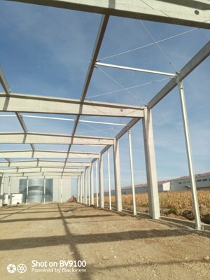 Angajez muncitori in construcții  - imagine 3