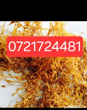 Tutun firicel la oferta 01 mm auriu la galeata