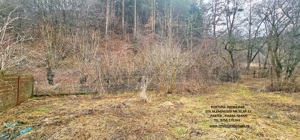 Casa + Anexa + Teren 3506 mp, com.Alexandru cel Bun - imagine 10