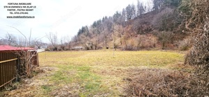 Casa + Anexa + Teren 3506 mp, com.Alexandru cel Bun - imagine 5