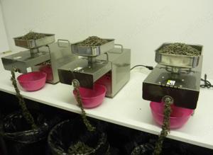 Presa ulei presare la rece