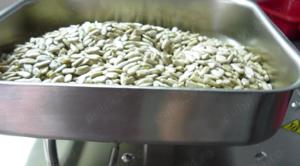 Presa ulei la rece - 0.4Kw 220V inox