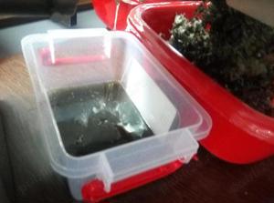 Presa ulei miez de nuca