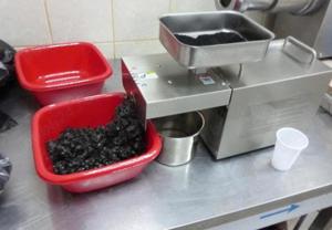 Presa ulei pentru bucatarie - 220V, 400 W