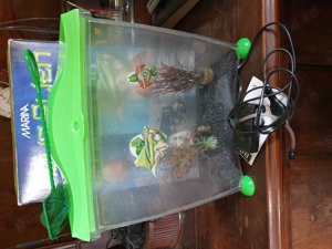 acvariu incepatori de plastic, 10 litri - imagine 3 acvariu incepatori de plastic, 10 litri - imagine 3