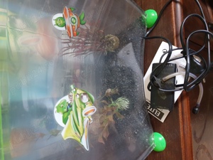 acvariu incepatori de plastic, 10 litri - imagine 2 acvariu incepatori de plastic, 10 litri - imagine 2