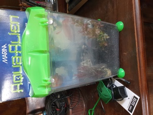 acvariu incepatori de plastic, 10 litri - imagine 4 acvariu incepatori de plastic, 10 litri - imagine 4