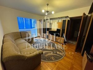 Apartament 2 camere Lipovei parter- centrala, boxa si garaj - imagine 3