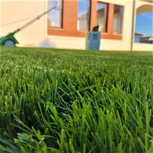 Servicii peisagistice - imagine 4