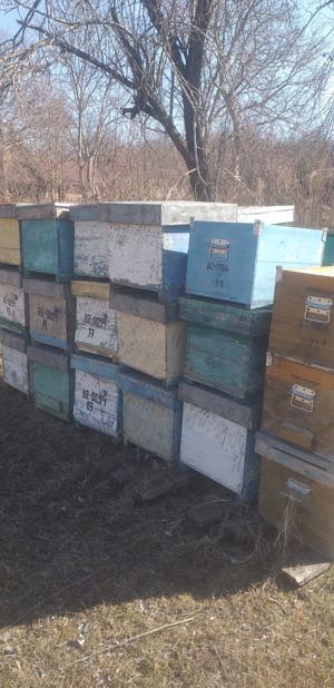 Vand rame si cutii stupi - imagine 3