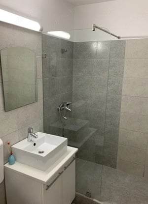 Garsoniera pet friendly Marasti Cluj Apartament pet friendly Marasti Chirie pet friendly Cluj Napoca - imagine 2