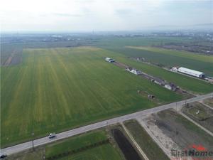 Teren intravilan 7.500 mp, D=23 ml, STRADA PRINCIPALA,zona ONASIS - imagine 4