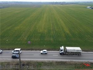 Teren intravilan 7.500 mp, D=23 ml, STRADA PRINCIPALA,zona ONASIS - imagine 9