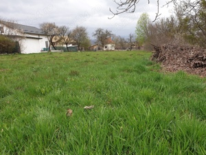 Teren Campulung Muscel 1000 mp - imagine 6