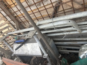 Boxă farare scroafe