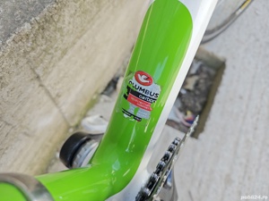 Cursieră Carbon 7.85 kg MADDILINE Columbus - imagine 2