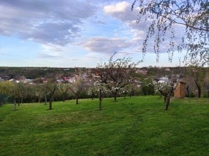 Casă în comuna Drănic - imagine 6