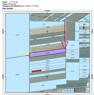 Teren intravilan Belciugatele*300 m de DJ503*Linie de tensiune medie* - imagine 8