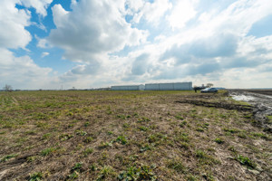 Teren intravilan Belciugatele*300 m de DJ503*Linie de tensiune medie* - imagine 7