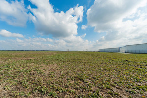 Teren intravilan Belciugatele*300 m de DJ503*Linie de tensiune medie* - imagine 6