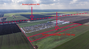 Teren intravilan Belciugatele*300 m de DJ503*Linie de tensiune medie* - imagine 3