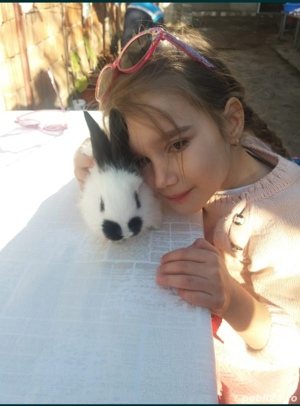 Iepuri pui și maturi 