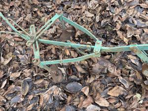 Vand plug de fier si prasitoare de fier  - imagine 2