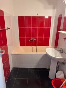 Închiriez Apartament 1 Cameră - Bulevardul Take Ionescu, Timișoara - imagine 4