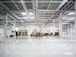 CTPark Pitesti, hale productie, depozitare, logistica, 1150 - 12095mp - imagine 2