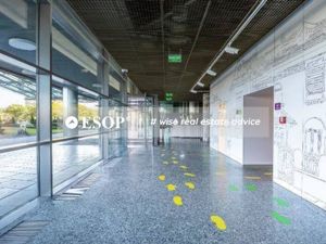 Opera Center 1, Cotroceni, 1018 mp  0% comision! - imagine 4