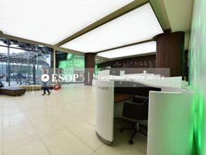 Green Gate Subinchiriere, 13 Septembrie, 450 - 3420 mp  0% comision! - imagine 7