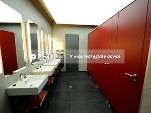 Green Gate Subinchiriere, 13 Septembrie, 450 - 3420 mp  0% comision! - imagine 9