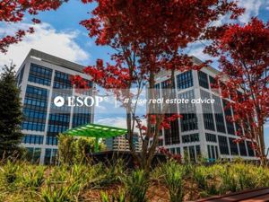 Business Garden Bucharest cladirea B, Grozavesti, 290-347mp 0%comision - imagine 11 Business Garden Bucharest cladirea B, Grozavesti, 290-347mp 0%comision - imagine 11