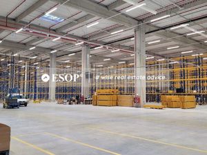 Eli Park 3, Spatii Industriale, Logistica/Depozitare, 2.100 - 5.300mp - imagine 7