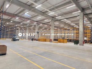 Eli Park 3, Spatii Industriale, Logistica/Depozitare, 2.100 - 5.300mp - imagine 4