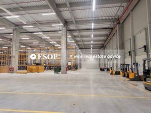 Eli Park 3, Spatii Industriale, Logistica/Depozitare, 2.100 - 5.300mp - imagine 5