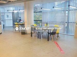 Pallazo Italia, Universitate, 170 - 730mp  0% comision! - imagine 10