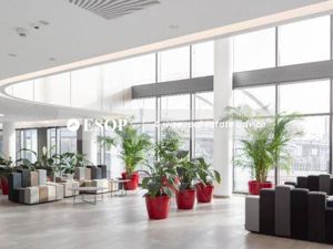 Orhideea Towers, Grozavesti, 510 mp  0% comision! - imagine 12