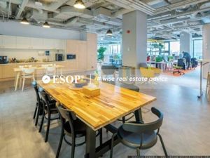 Equilibrium 2, Barbu Vacarescu, 500 - 19600 mp  0% comision! - imagine 13