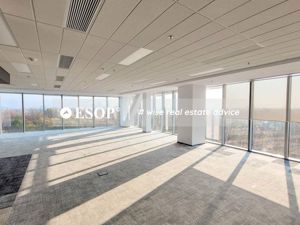 City Gate, Presei Libere, 300 - 7200 mp  0% comision! - imagine 8