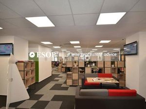 Sema Parc cladirea Paris, Grozavesti, 250 - 3174 mp  0% comision! - imagine 3