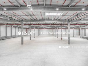 WDP Industrial Park Timisoara, spatii industrale, 2.500 - 25.000mp - imagine 5