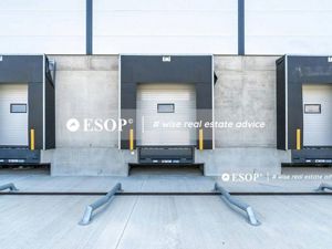 WDP Industrial Park Timisoara, spatii industrale, 2.500 - 25.000mp - imagine 4