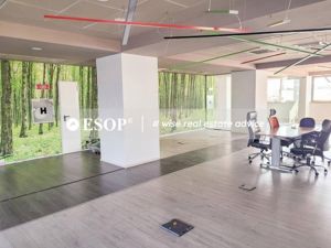 Maria Rosetti Tower, Universitate, 392 mp  0% comision! - imagine 9