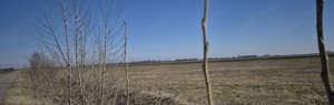  Teren agricol de vânzare   3,68 ha, deschidere 350 m la șosea, Scutelnici, Buzău   Preț: 1   mp