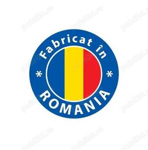 Remorca Auto REPO QED 3000 x 1600 x 300 mm 750 kg, fabricata in Romania - imagine 6