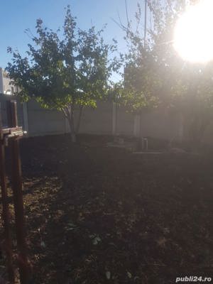 defrisari  servicii gradinarit