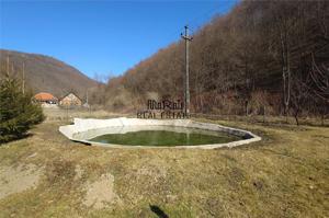 Iaz de vanzare in Apuseni- cazare, agrement si pescuit la DN74 - imagine 12