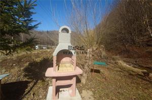 Iaz de vanzare in Apuseni- cazare, agrement si pescuit la DN74 - imagine 16