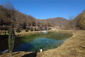 Iaz de vanzare in Apuseni- cazare, agrement si pescuit la DN74 - imagine 3